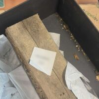 Ръст на онлайн пазаруването на „Черен петък“: Вместо маркови обувки жена получи… парче дърво