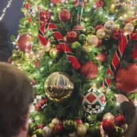 Чудесата се случват, когато някой ги създаде: Доброволци подариха празнично изживяване на незрящи