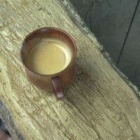 Чаша кафе с вкус на Африка: В Пловдив отвориха първото у нас зоокафе