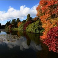 Слънчево и топло за средата на ноември, температурите в петък до 18 градуса