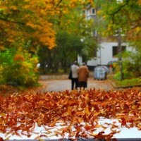 В сряда ще е предимно облачно и по-хладно 