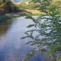 Очакват се повишения на речните нива през следващите два дни