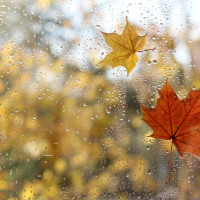 Студена сутрин на 29 октомври и максимални температури до 21 градуса