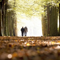 Прогнозата на проф. Георги Рачев: Топъл ноември, но с облаци и валежи