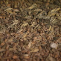 ЕС с въпроси към Израел, след като руски кораб със зърно от Украйна акостира в Хайфа