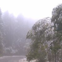 Столична община затваря временно пътищата към Витоша през почивните дни