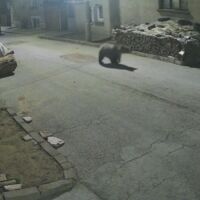 Преследване на мечка: Екип на bTV се включи в нощен обход в Карлово