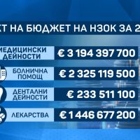 Проектобюджета на Здравната каса: За първи път е изчислен както в лева, така и в евро
