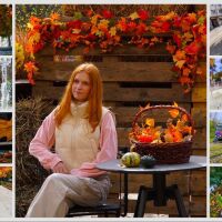 Красотата и спокойствието на есента (ГАЛЕРИЯ)