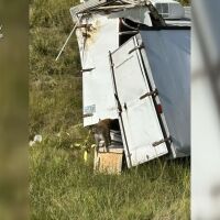 Катастрофиралият камион с маймуни в САЩ: Колко са на свобода и пренасят ли наистина болести?