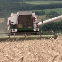 Европрокуратурата разследва предполагаема измама със земеделска субсидия в България