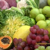 В големия склад на MasterChef България