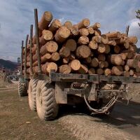 Заради проблем със спирачките: Шофьор на камион скочи в движение, удрят го дърва за огрев