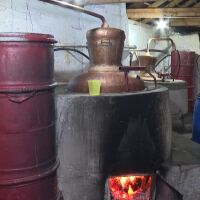 Домашната ракия се облага с акциз. Първите 30 литра – с намален данък, посочват от НАП