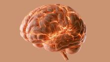 ADHD е свързан с по-висок риск от деменция в зряла възраст, сочи проучване