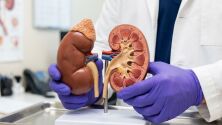 Какво е надбъбречна умора и съществува ли наистина това състояние