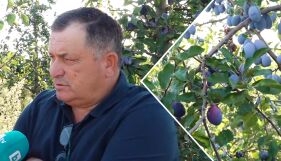 От сливи до смет: Защо производители изхвърлят продукцията си?
