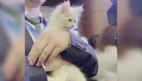 Президентската котка Локум засенчи политиците на срещата на НАТО