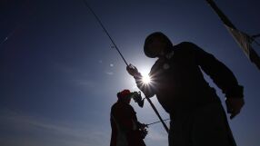 С началото на 2026 г.: Влиза в сила национална забрана за риболов в Дунав и Черно море