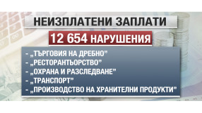 43 млн. лв. са забавените заплати само за миналата година