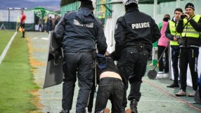 Феновете на 