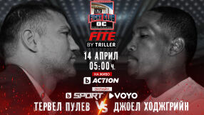 ГЛЕДАЙТЕ ТУК: Тервел Пулев - Джоел Ходжгрийн