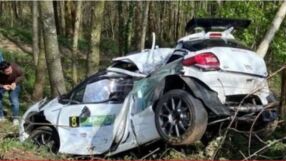 Трагедия: Дърво уби двама рали пилоти