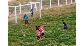 Храсти до кръста: Тук ли се играе мач за купата? (ВИДЕО)