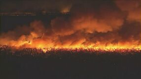 Вече са избухнали над 50: Сезонът на пожарите в Гърция започна