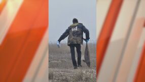 Над 300 птици и 11 делфина са загинали по Северното Черноморие заради заплитане в рибарски мрежи