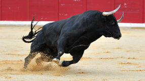 Пенсиониран матадор е убит от бик преди корида в Испания