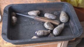 Картоф, спасен от забрава: Две жени съхраниха „синия цвръцаняк“ и го патентоваха