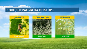 Със слънчевото време полените се завръщат, за кратко