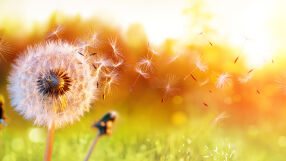 Температури до 24° и жълт код за силен вятър в 6 области във вторник – 7 април