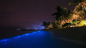 Рядък феномен: На този остров морето блести