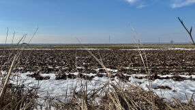 Изминалият март е вторият най-топъл в Европа, откакто се води статистика