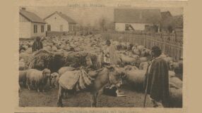 Великденската трапеза преди 100 години: „Много хора не са опитвали агнешко в Румъния. Задоволявали са се с говеждо“