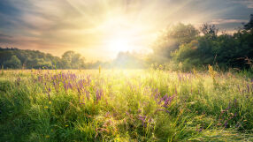 Слънчево и с пролетни температури на Светли понеделник – 13 април