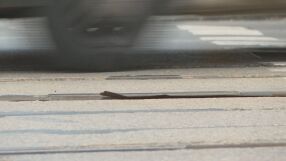 Кога ще бъдат поправени трамвайни релси в София които пукат гуми на колите?