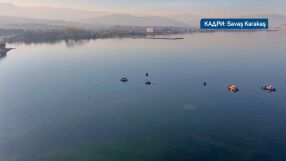 "Цялото море се съживява, видове се появяват за първи път": „Морска прахосмукачка“ чисти „сополите“ на Мраморно море 