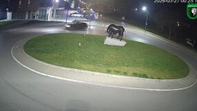 Опасни маневри на кръгово в Ямбол, камери заснеха нарушителя (ВИДЕО)