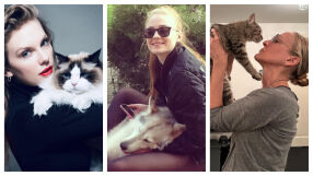 7 актьори, които осиновиха животните, с които си партнират на снимачната площадка