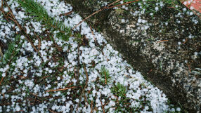 Начало на сезона на градушките: Защитени ли са нивите?