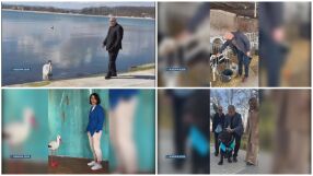 Как кучета, котки и други представители на фауната влязоха в предизборната битка