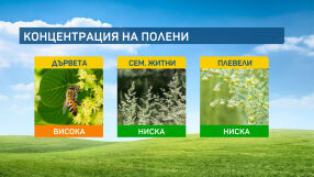 Концентрацията на полени ще се повиши