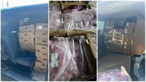 Митничари откриха 1,5 тона пилешко месо, натъпкано в микробус