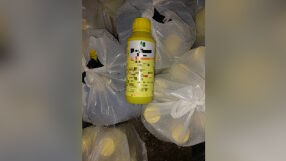 БАБХ иззе над 2 тона неразрешени за употреба у нас препарати за растителна защита (СНИМКИ)