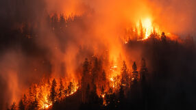 Горски пожари опустошават САЩ: Десетки унищожени домове и масови евакуации