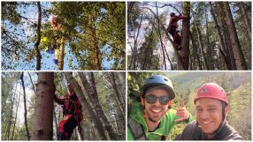 Парапланерист се заплете в дърво над Кюстендил, планински отряд го спаси (СНИМКИ)