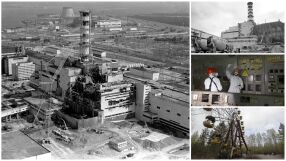 Природа под сянката на реактора: Как Чернобил превърна призрачни села в лаборатория (ВИДЕО)